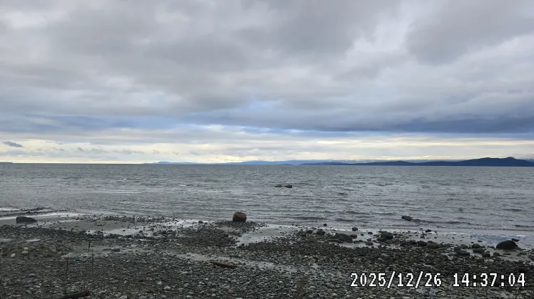A rocky cobble beach looking out over a grey, choppy body of water toward a distant landmass under an overcast sky.