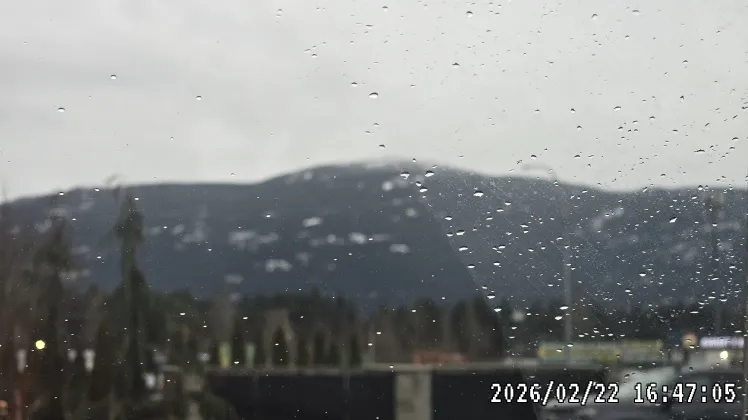 Sharp raindrops scattered across a glass windowpane, with a heavily blurred, dark mountain and treeline in the background under a grey sky.