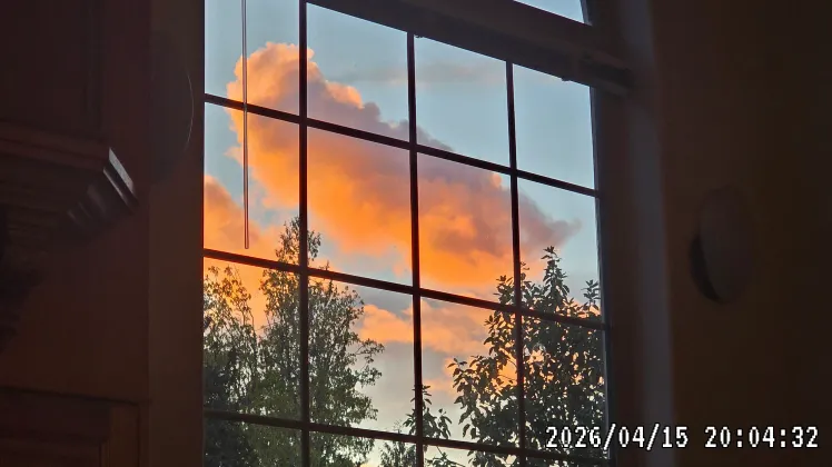 A bright orange, erupting sunset cloud framed by a dark, gridded windowpane, with tree silhouettes visible at the bottom.