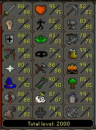 My skills upon reaching 2,000 total level.